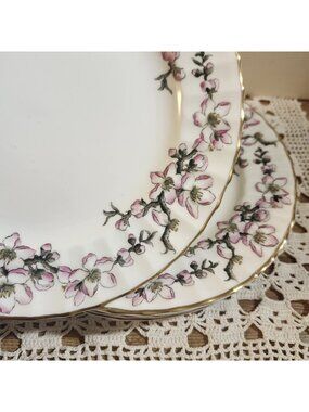 5- Royal Worcester 8" Lunch Plates Pomerina - Rare Print - Pink Floral Vintage